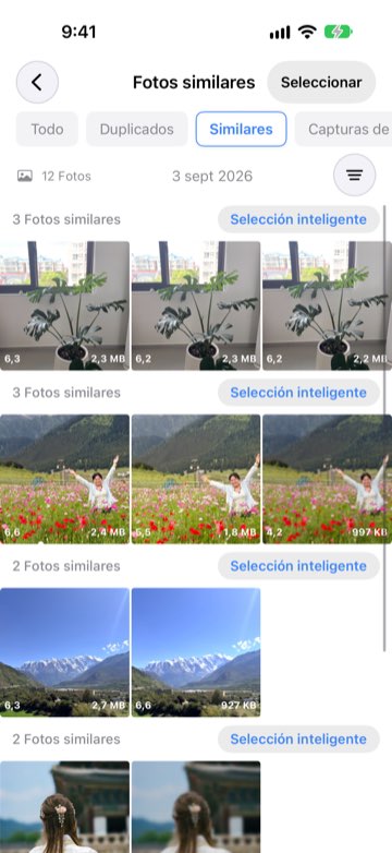 Pestaña Similares con fotos parecidas agrupadas y puntuadas