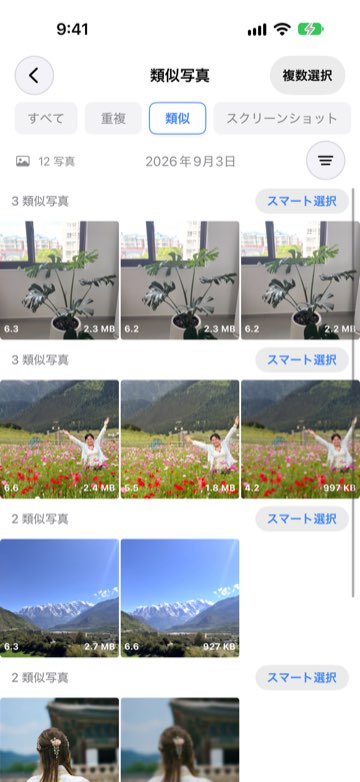 「類似」タブで似た写真がグループにまとめられ、スコアが表示されている様子